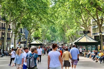 Los árboles proporcionan un enfriamiento que puede reducir las altas temperaturas en las ciudades