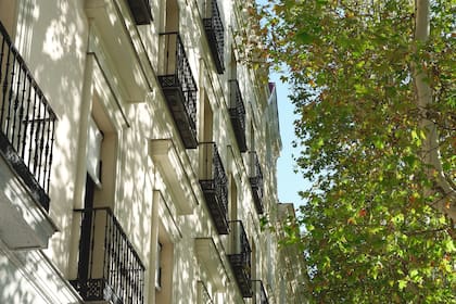 Los árboles son una de las ventajas que tiene el Barrio de Salamanca.