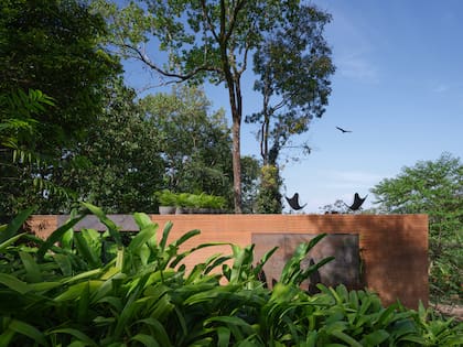 Los árboles y sus ramas suman una segunda capa natural a la casa —como cortinas verdes— y, junto con el volumen simple y sus grandes aberturas, generan una mezcla única de intimidad y apertura.