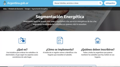 Los argentinos debieron llenar este formulario para poder seguir recibiendo su energía subsidiada