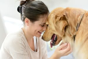 Los argentinos prefieren los perros de raza mestiza