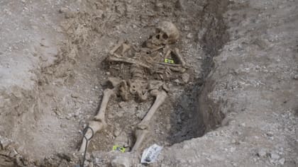 Los arqueólogos encontraron esqueletos muy bien conservados en el suelo arcilloso de Dorset