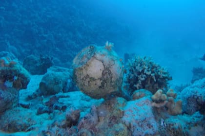 Los arqueólogos identificaron la parte central del barco y cientos de piezas y artefactos que estaban a bordo del navío