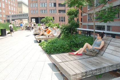 Los arquitectos que trabajaron en High Line Park lograron integrar mobiliarios muy cómodos y atractivos. En las zonas donde se pudo obtener más profundidad se plantaron especies de mayor volumen.