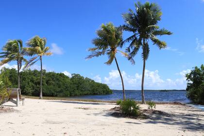 Los arrecifes de coral más extensos están al este y al sur de los Cayos de Florida
