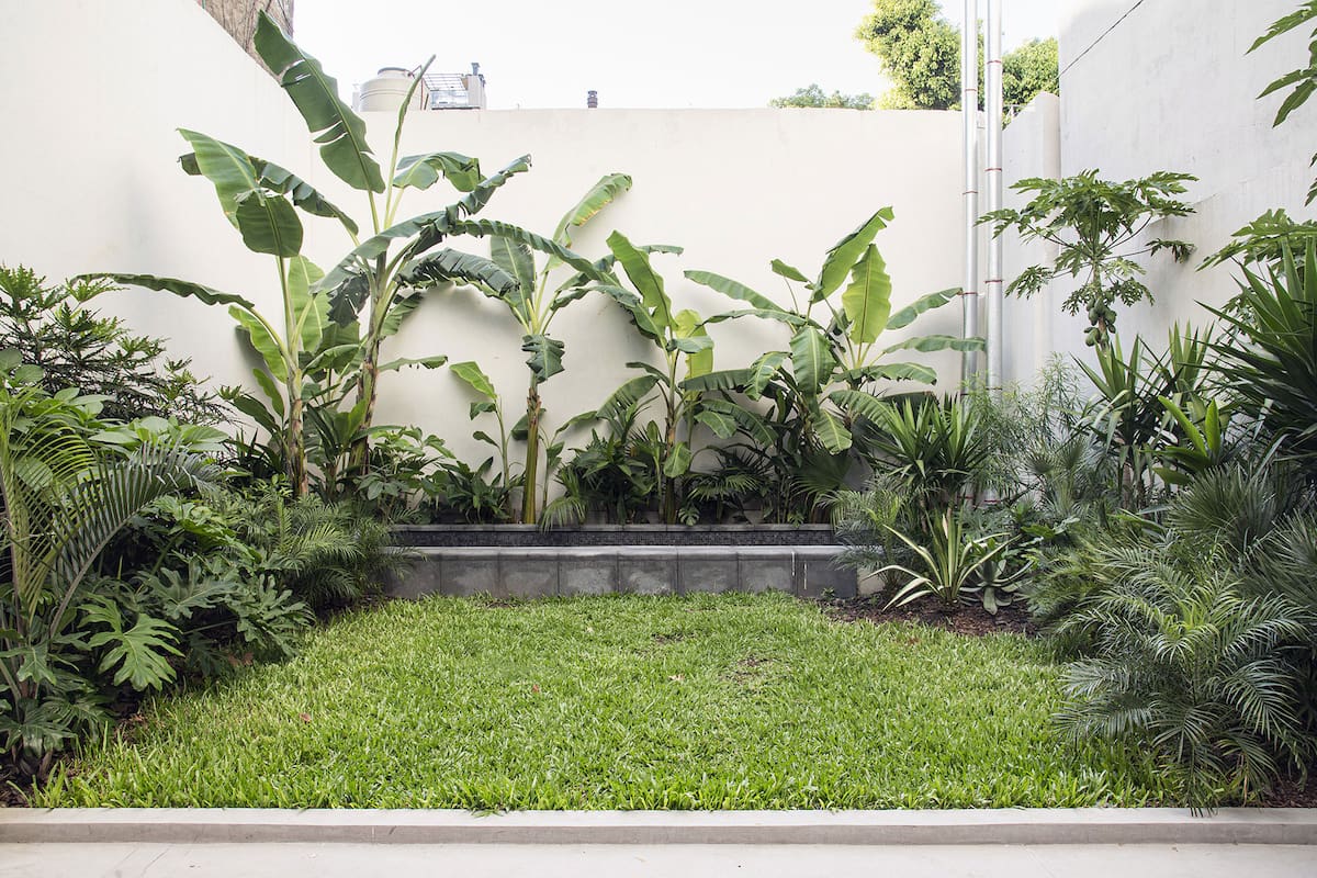 Los artículos del Código Civil y Comercial que regulan las medianeras establecen las reglas básicas para el uso, la conservación y las limitaciones sobre estos muros compartidos.