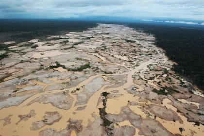 Los asentamientos de la minería ilegal arrasan con todo a su alrededor
