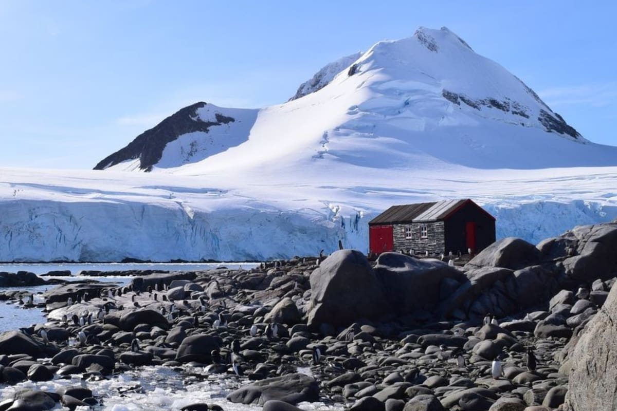 Los aspirantes tienen que ingresar a la página oficial de la ONG para postularse