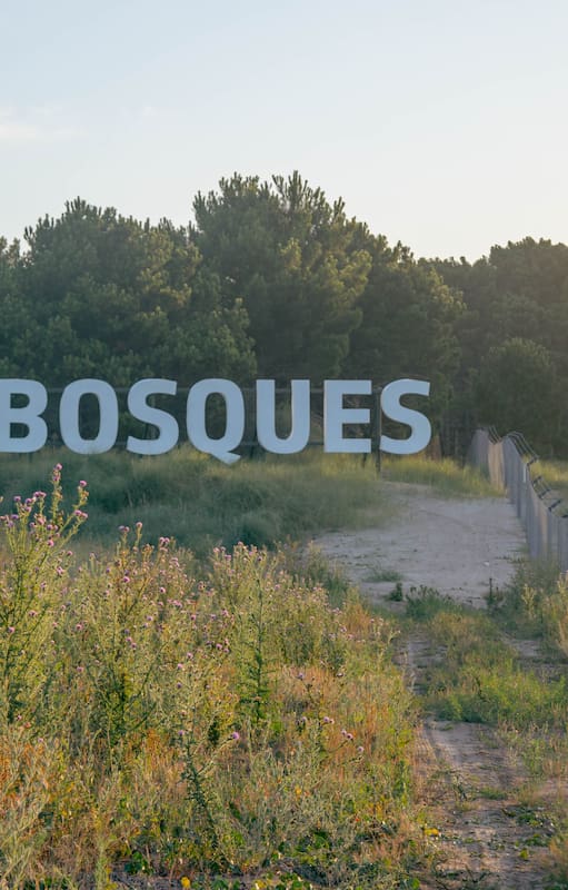 Los atardeceres en Bosques no tienen desperdicio.