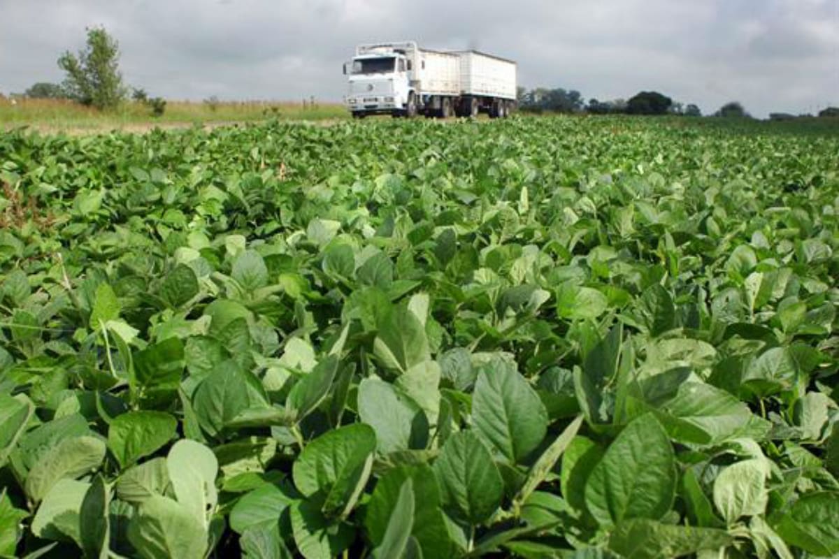 Los autoconvocados rechazan cualquier cambio en las retenciones y piden que el Estado se ajuste