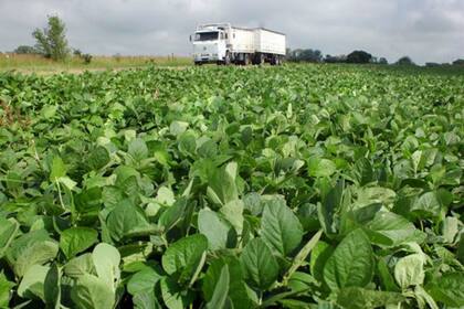 Los autoconvocados rechazan cualquier cambio en las retenciones y piden que el Estado se ajuste