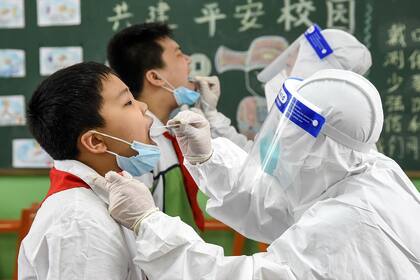 Los autores del estudio temen que un regreso apresurado a las escuelas sin una planificación adecuada resulte en un aumento en los casos de coronavirus