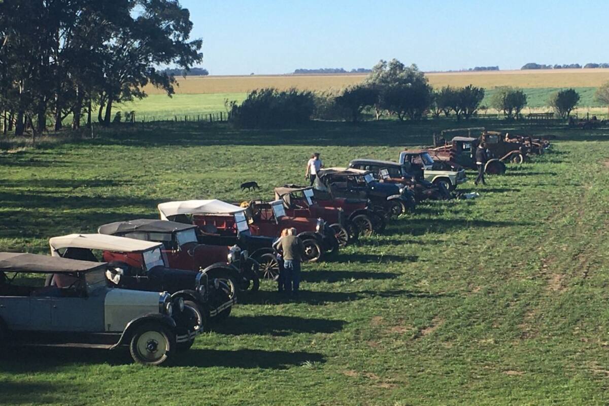 Los autos antiguos que se remataron ayer, la colección de Ceferino Cadenas