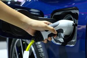 Los autos eléctricos comienzan, poco a poco, a tomar mayor relevancia en el país