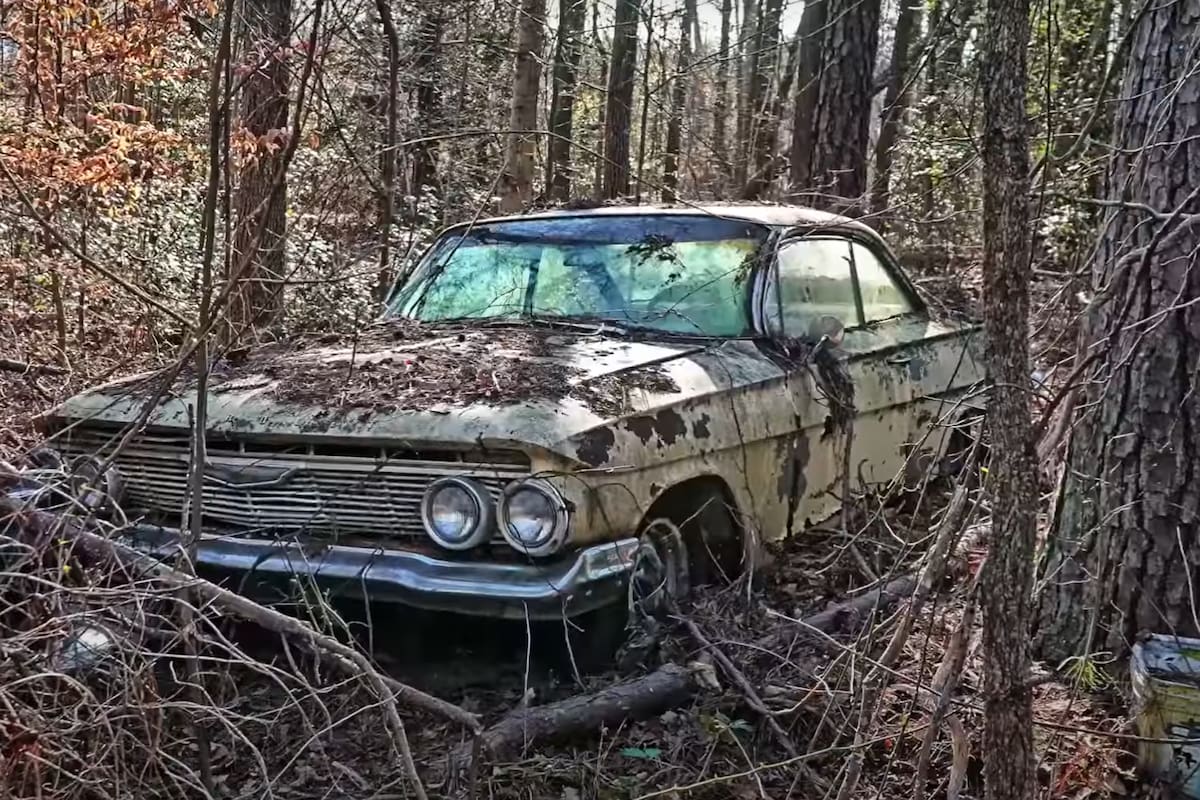 Los autos estaban en condiciones de grave abandono, pero su padre los quería como si los hubiera comprado hace poco