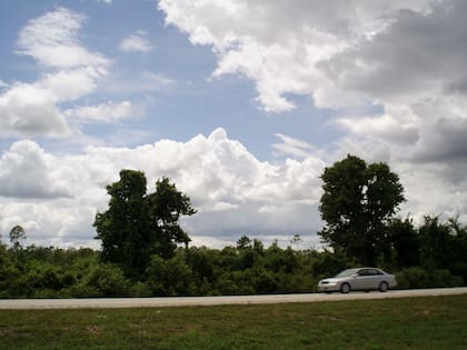 Los autos más propensos a ser robados en Florida