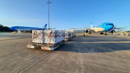 Los aviones de Aerolíneas Argentinas transportaron en 2021 la mitad de la carga que en 2019