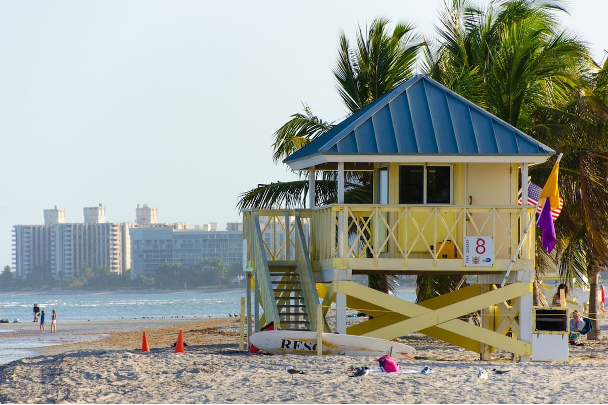 Los bañistas de las playas de Florida están en alerta por la presencia de estos animales marinos