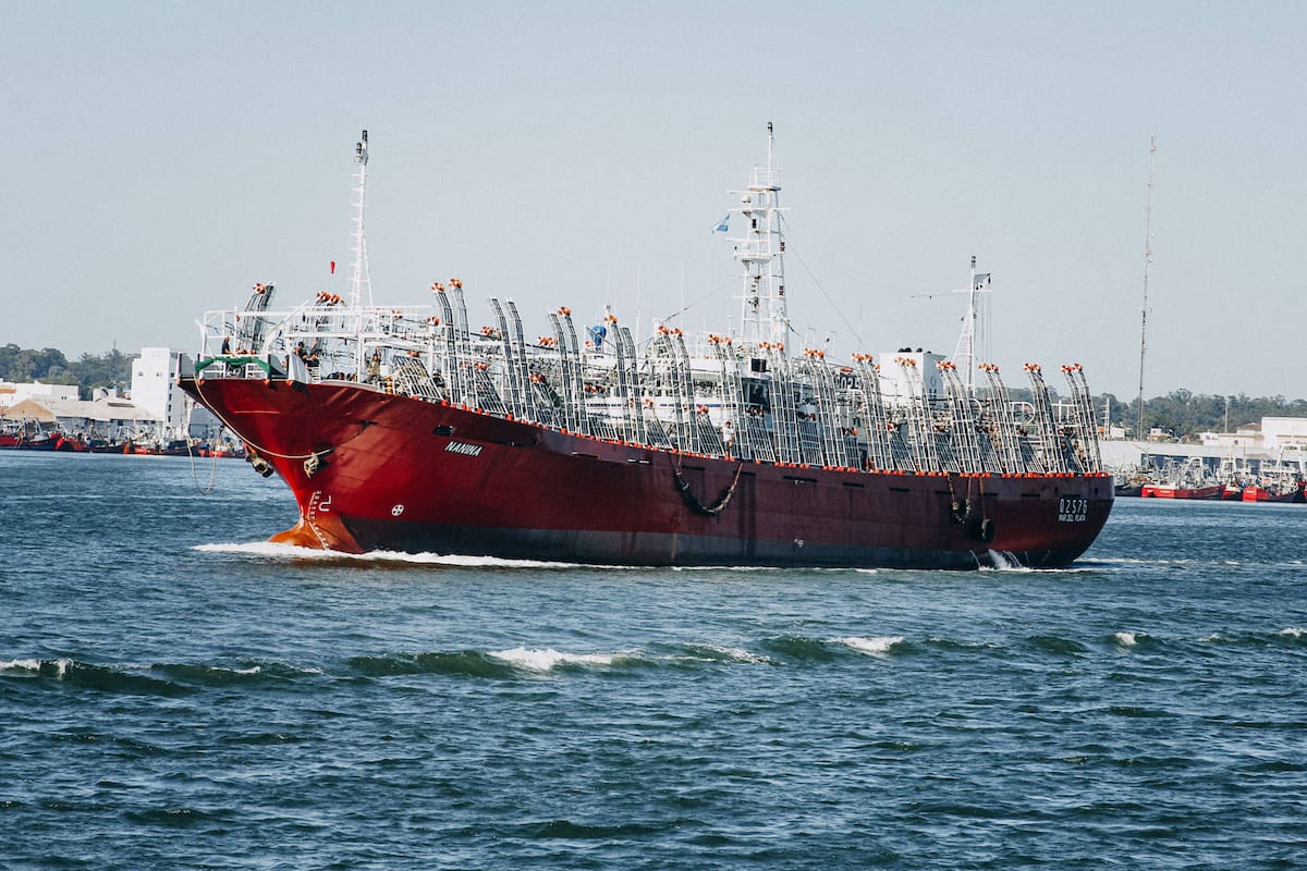 Los barcos poteros son los dedicados a la pesca del calamar, una de las especies que más se exportan desde la Argentina