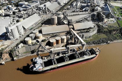 Los barcos pueden cargar bastante menos cereal debido a la bajante del r‚Äôo Paran‚İ y la disminuci‚Äîn de calado en los puertos de la zona de San Lorenzo, Puerto San Mart‚Äôn y Timb‡Öìes, al norte de Rosario, lo que obliga a que el lecho del r‚Äôo deba ser dragado continuamente para que los buques puedan circular