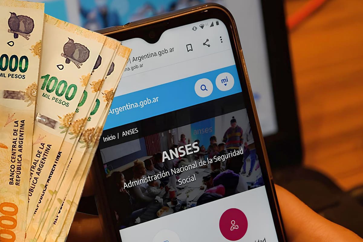 Los beneficiarios de las SUAF ya pueden saber cuando cobran de la Anses en enero 2025