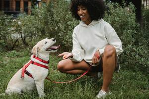 Los beneficios de comer garbanzo para tu perro, según una veterinaria