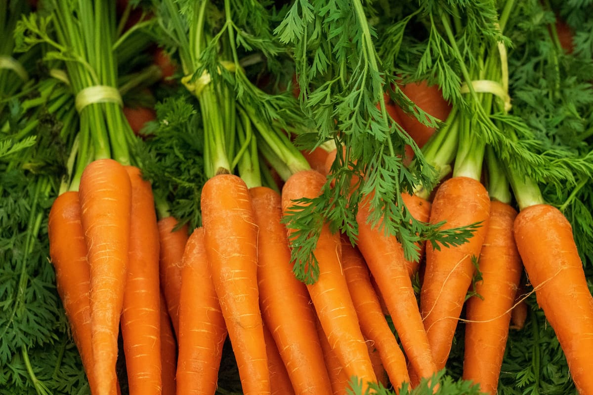 Los beneficios de comer zanahoria todos los días
