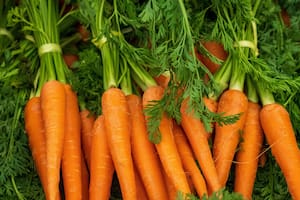 Los beneficios de comer zanahoria todos los días