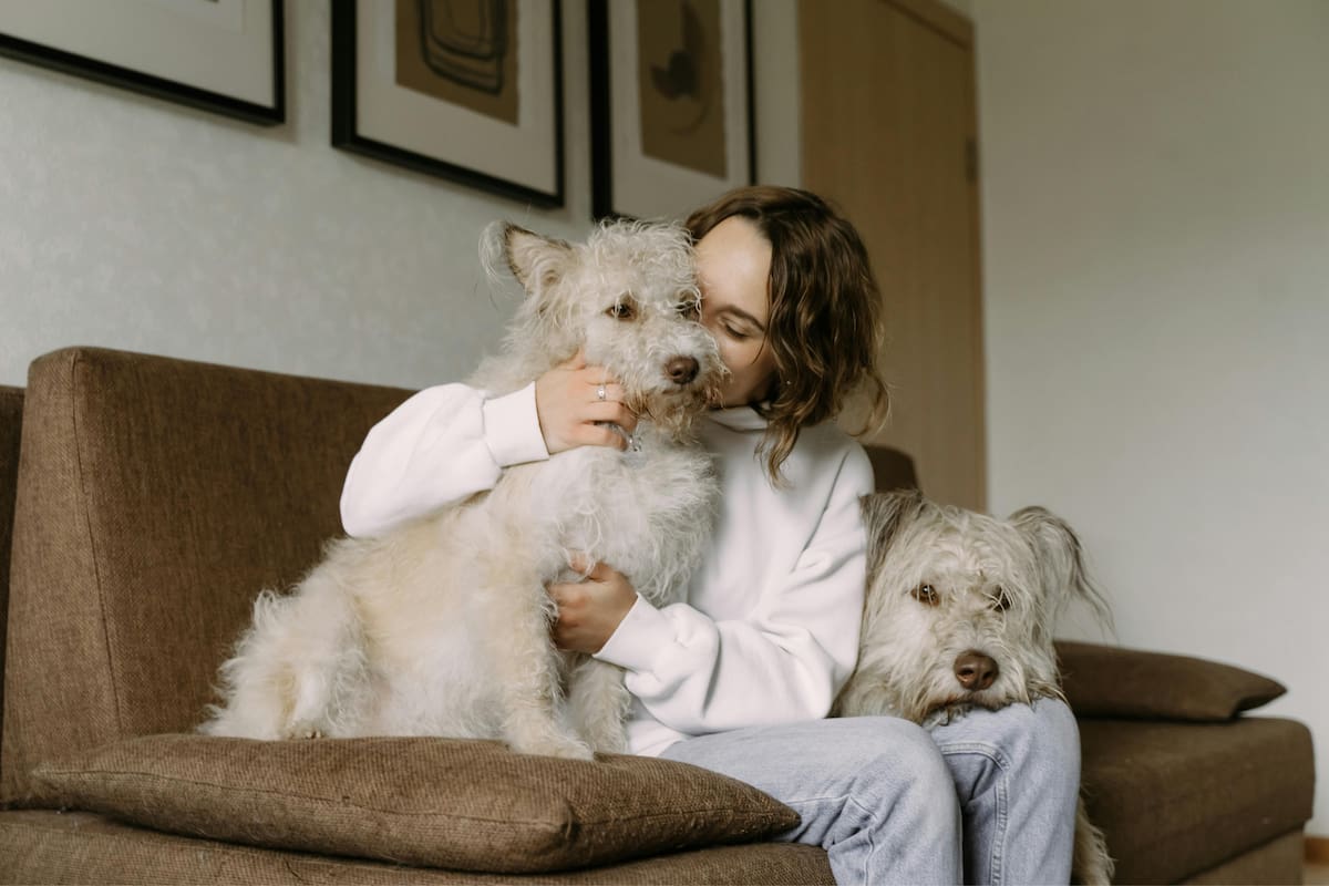 Los beneficios de convivir con un perro