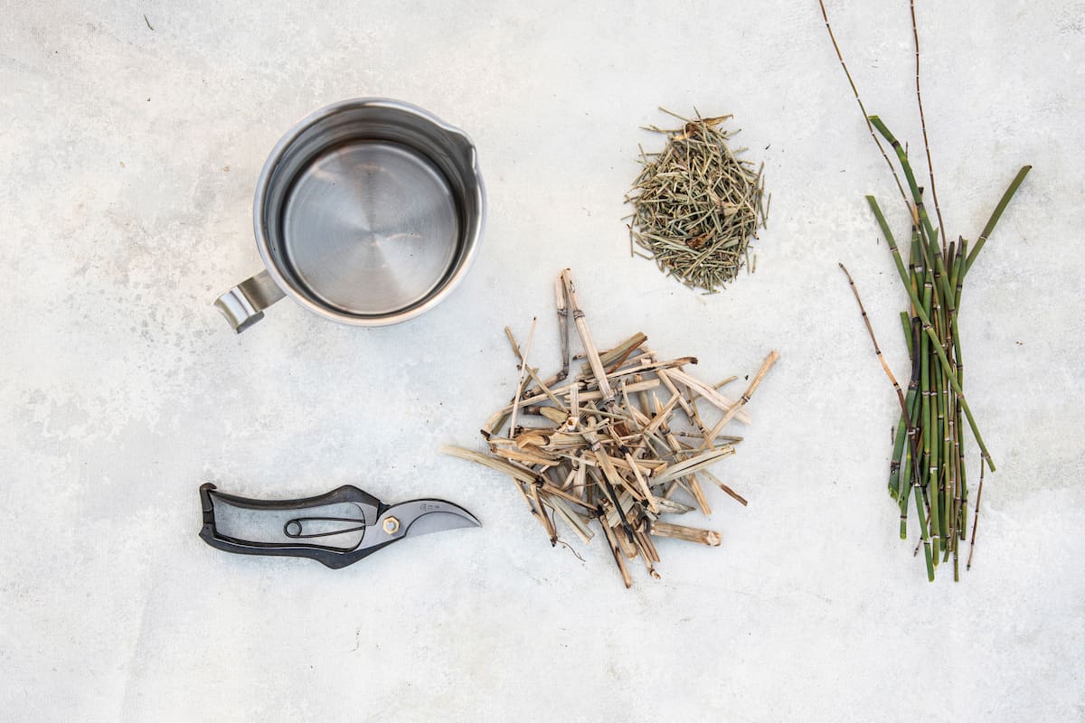 Los beneficios de la cola de caballo se deben principalmente a su alto contenido de silicio, un mineral esencial para el organismo