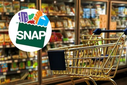 Los beneficios de SNAP en Florida se depositan de forma escalonada según el número de caso (Archivo-Pixabay/SNAP)