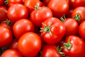 Qué pasa si como tomates todos los días, según un experto