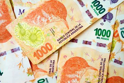 Los billetes de $1.000 pesos crecen, aunque siguen siendo mayoritarios los de $100