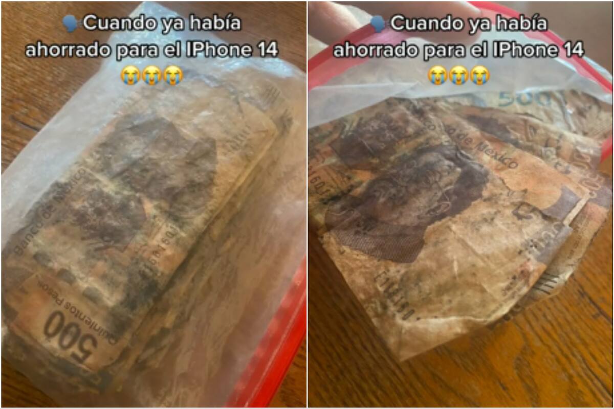 Los billetes que había guarado para la compra se pudrieron (Foto: Captura de video)