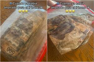 Los billetes que había guarado para la compra se pudrieron (Foto: Captura de video)