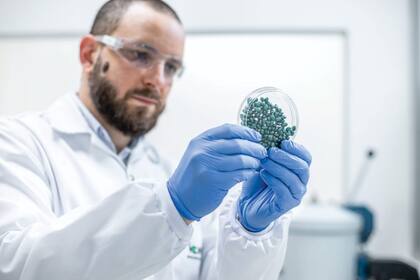 Los bioinsecticidas son inéditos en Argentina para el control de plagas que afectan a los cultivos de soja, maíz y sorgo, entre otros.