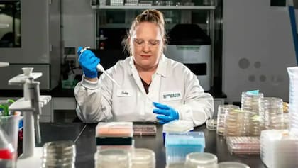 Los bloques son 20% más ligeros y tres veces más resistentes que los tradicionales