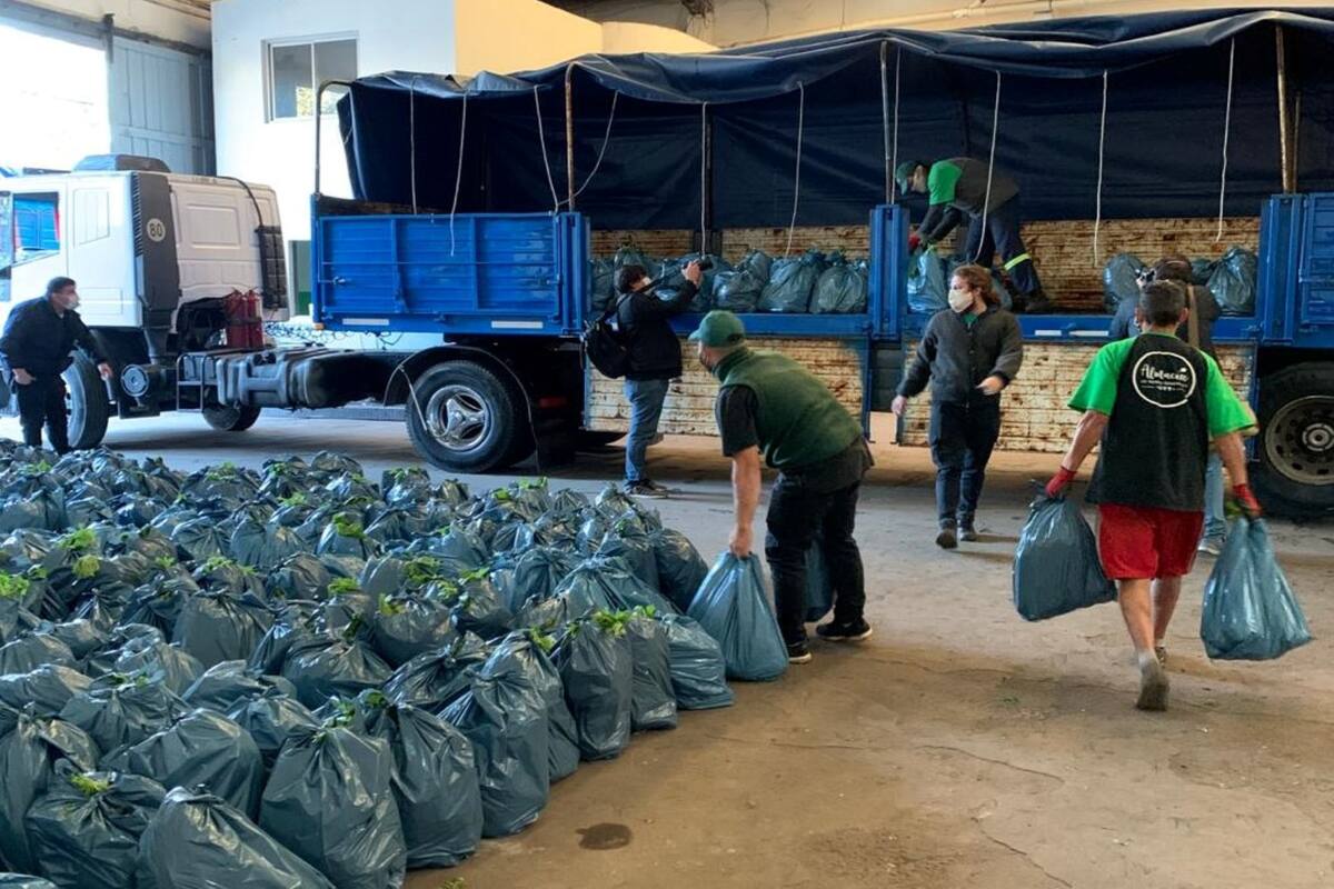 Los bolsones de verduras producidas por la UTT fueron entregados cerca del mediodía