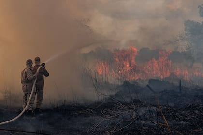 Los bomberos aún combatían ayer el fuego en la selva amazónica en el estado de Mato Grosso