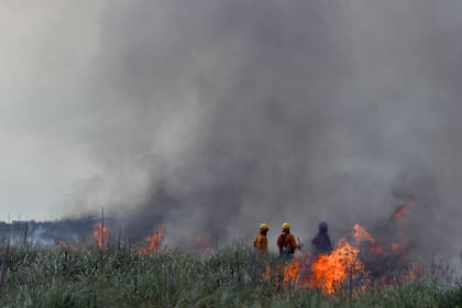 Los bomberos combaten los incendios en la zona de Villa Gesell
