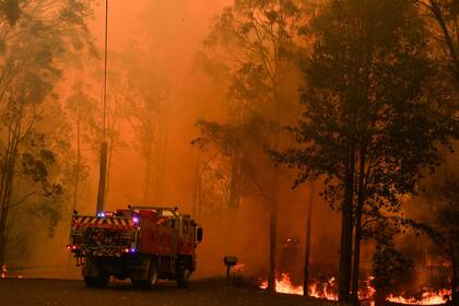 Los bomberos luchan contra un incendio forestal que invade propiedades en Werombi