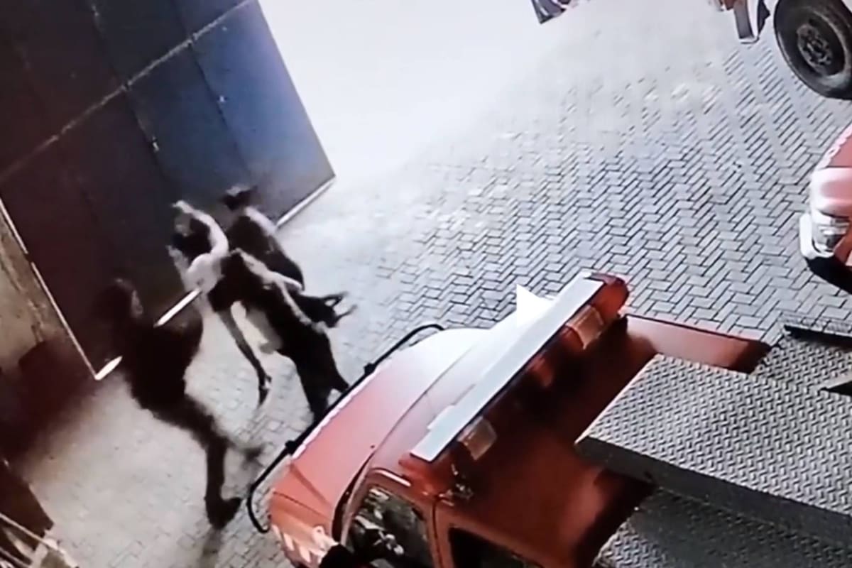 Los Bomberos Voluntarios salvaron a una beba