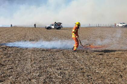 Los bomberos y la patrulla rural ayudaron a controlar el fuego en el campo
