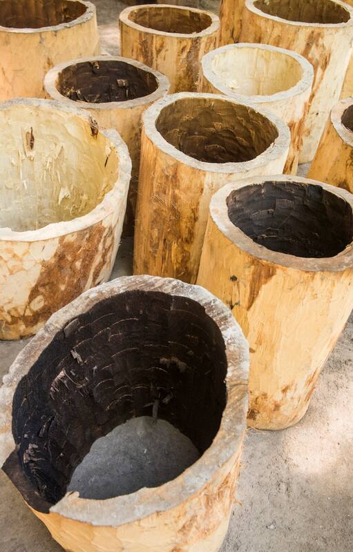 Los troncos de ceibo ahuecados que Froilán hará bombos.