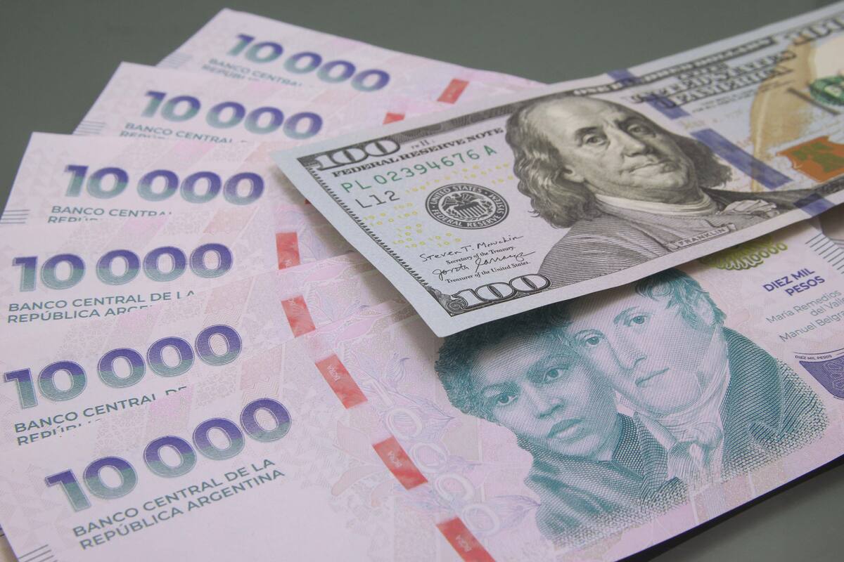 Los bonos dolar-linked dan cobertura cambiaria al mercado, evitando mayor presión sobre el billete