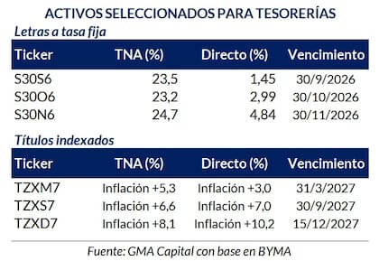 Los bonos soberanos en pesos que se destacan por su rendimiento