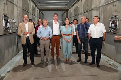 Los bonos verdes son instrumentos de deuda emitidos por instituciones públicas o privadas para financiar proyectos socialmente responsables con el medioambiente, convirtiéndose en una forma de inversión en activos sostenibles cada vez más demandada a escala global