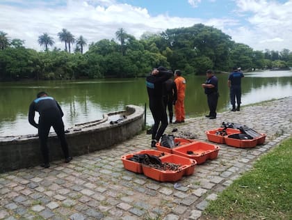 “Los Bosques de Palermo”, cuenta con cuatro lagos: el Lago Victoria Ocampo, el Lago del Rosedal, el Lago del Planetario y el Lago de Regatas.
