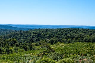 Es una norma ambiental clave que podría mitigar el cambio climático, pero no se cumple
