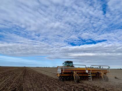 Los Bottaro desarrollan un sistema agrícola con planificación a largo plazo mediante el asesoramiento con ingenieros agrónomos que proponen el planteo para cada campaña, que luego es evaluado por el directorio